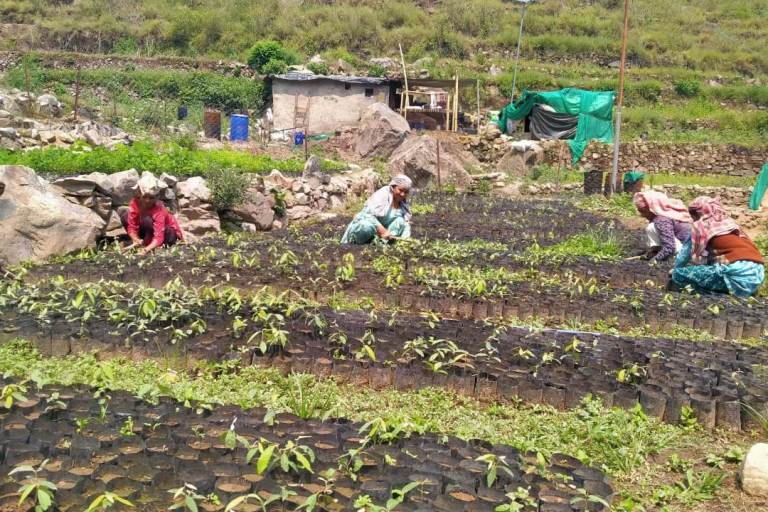 Case Study: How The Hans Foundation Revived Goom—A Model of Environmental and Economic Renewal